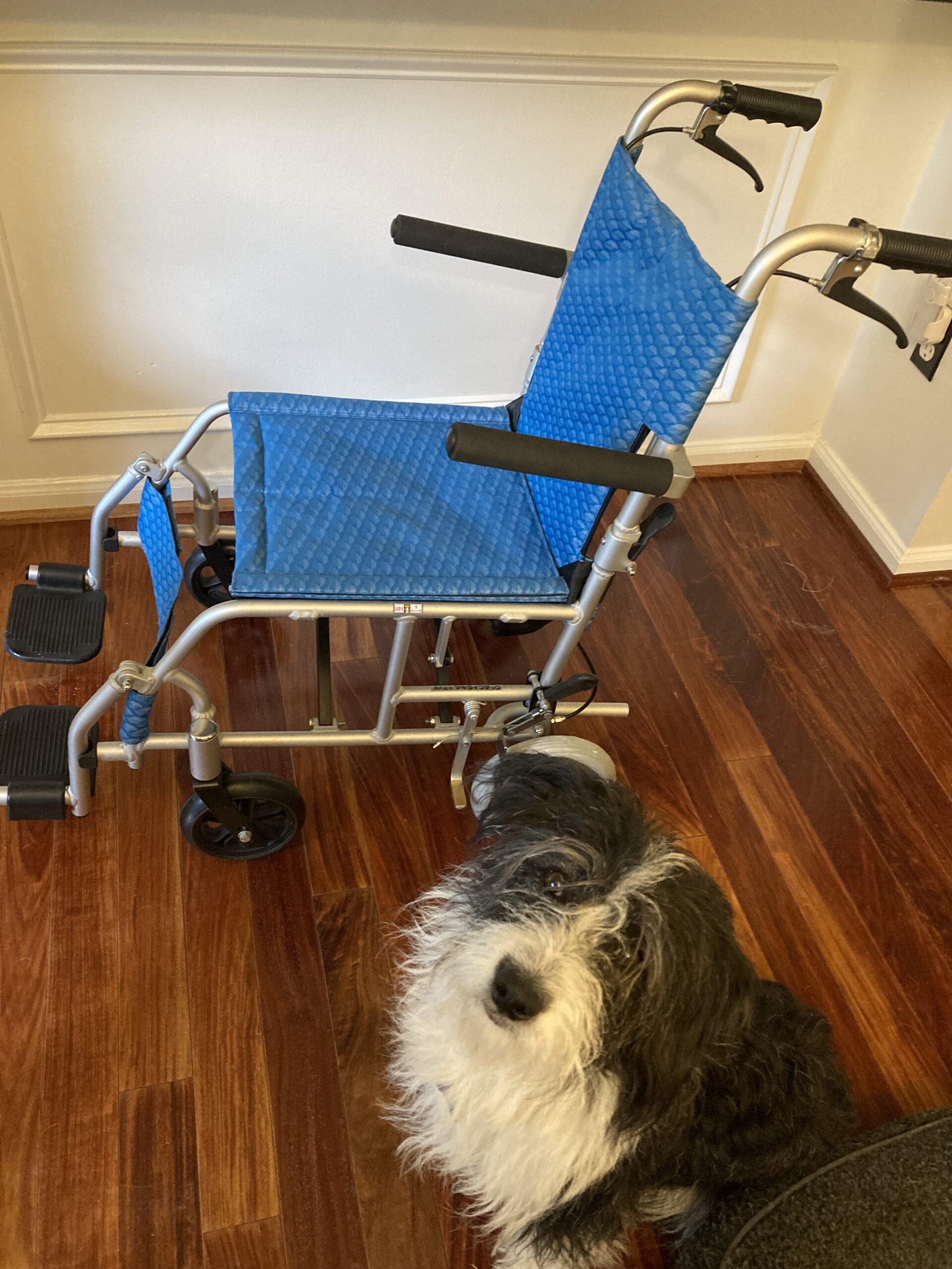 For Sale: Child’s Transfer Chair